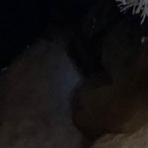 Meet your Posher, Carla